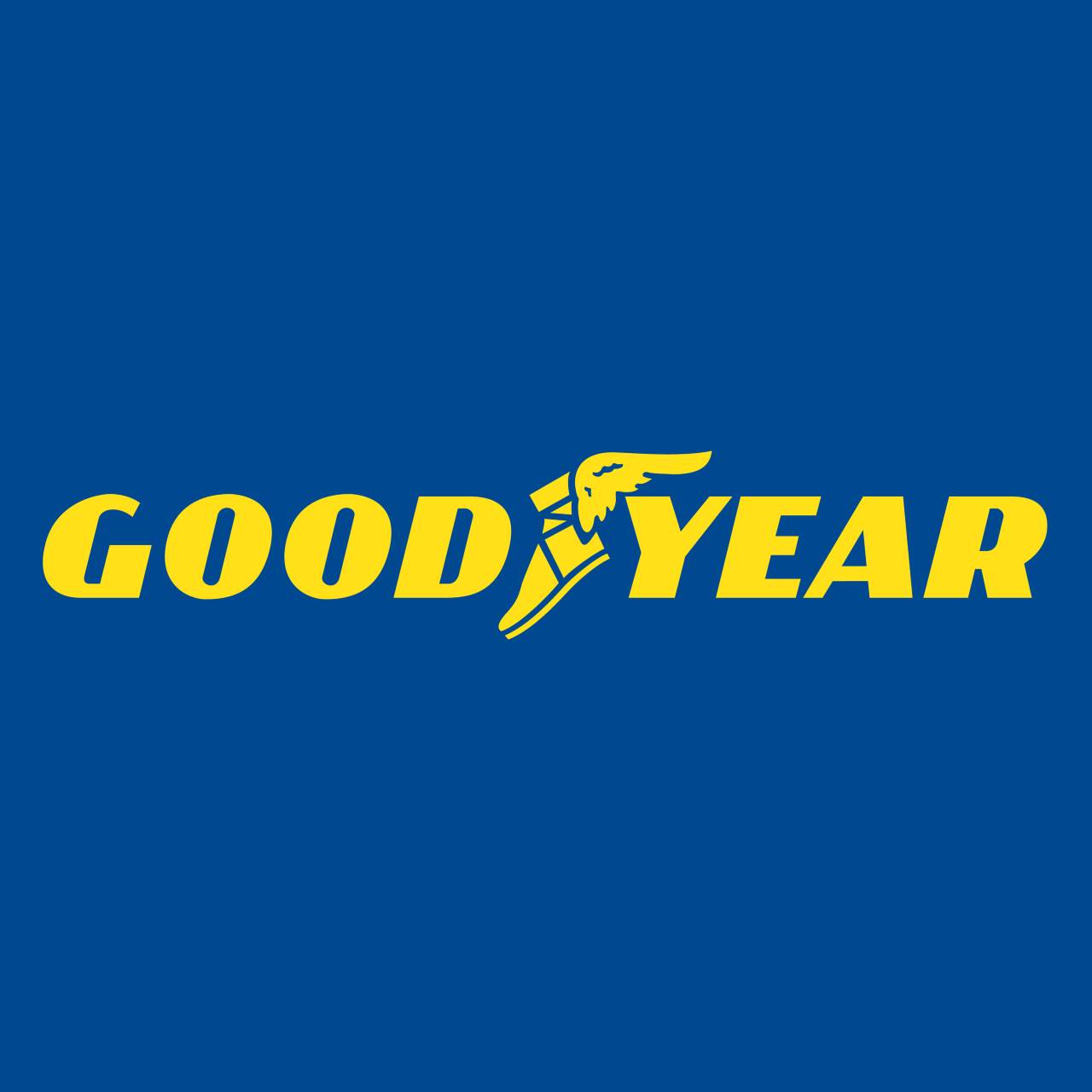 Goodyear HRDC Training Client